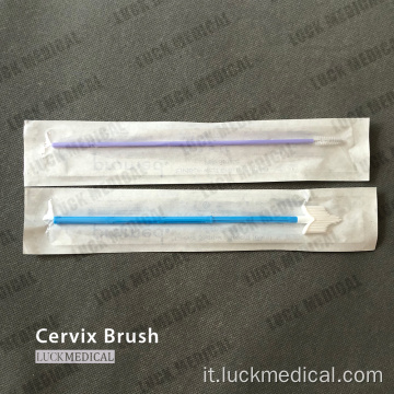 Spazzola cervicale sterile cytobrush pap striscia